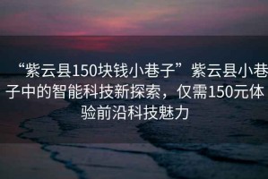 “紫云縣150塊錢小巷子”紫云縣小巷子中的智能科技新探索，僅需150元體驗(yàn)前沿科技魅力