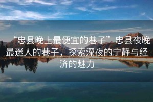 “忠縣晚上最便宜的巷子”忠縣夜晚最迷人的巷子，探索深夜的寧?kù)o與經(jīng)濟(jì)的魅力