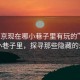 “南京現(xiàn)在哪小巷子里有玩的”南京的小巷子里，探尋那些隱藏的樂趣