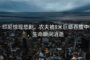 印尼驚現(xiàn)悲劇，農(nóng)夫被8米巨蟒吞腹中，生命瞬間消逝