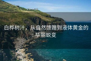 白樺樹汁，從自然饋贈到液體黃金的華麗蛻變