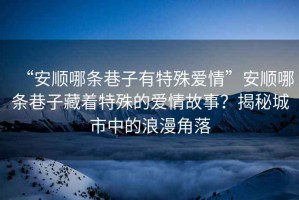 “安順哪條巷子有特殊愛情”安順哪條巷子藏著特殊的愛情故事？揭秘城市中的浪漫角落