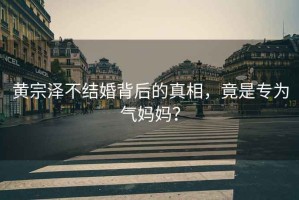黃宗澤不結婚背后的真相，竟是專為氣媽媽？