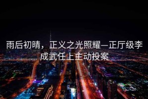 雨后初晴，正義之光照耀—正廳級李成武任上主動投案