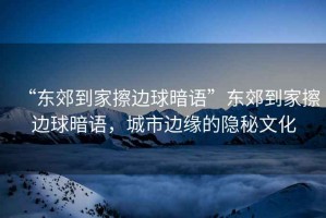 “東郊到家擦邊球暗語(yǔ)”東郊到家擦邊球暗語(yǔ)，城市邊緣的隱秘文化