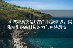 “柳城哪條街是雞街”探索柳城，揭秘雞街的高科技魅力與獨(dú)特風(fēng)情