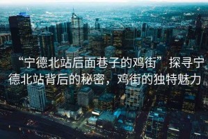 “寧德北站后面巷子的雞街”探尋寧德北站背后的秘密，雞街的獨特魅力