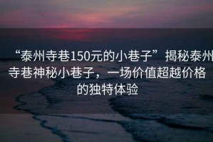 “泰州寺巷150元的小巷子”揭秘泰州寺巷神秘小巷子，一場價值超越價格的獨特體驗