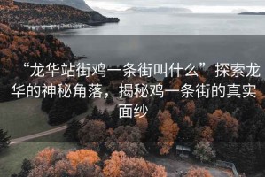 “龍華站街雞一條街叫什么”探索龍華的神秘角落，揭秘雞一條街的真實面紗
