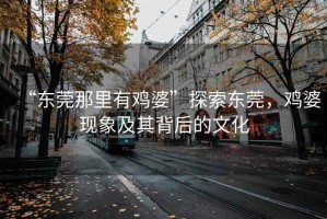 “東莞那里有雞婆”探索東莞，雞婆現(xiàn)象及其背后的文化