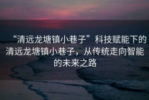 “清遠龍?zhí)伶?zhèn)小巷子”科技賦能下的清遠龍?zhí)伶?zhèn)小巷子，從傳統走向智能的未來之路