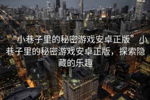 “小巷子里的秘密游戲安卓正版”小巷子里的秘密游戲安卓正版，探索隱藏的樂趣