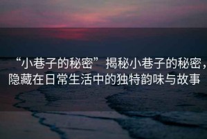 “小巷子的秘密”揭秘小巷子的秘密，隱藏在日常生活中的獨(dú)特韻味與故事