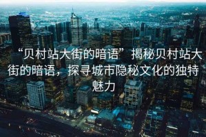 “貝村站大街的暗語”揭秘貝村站大街的暗語，探尋城市隱秘文化的獨特魅力