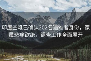 印度空難已確認202名遇難者身份，家屬悲痛欲絕，調(diào)查工作全面展開
