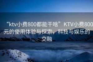“ktv小費(fèi)800都能干啥”KTV小費(fèi)800元的使用體驗(yàn)與探索，科技與娛樂的交融