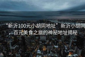 “新沂100元小胡同地址”新沂小胡同，百元美食之旅的神秘地址揭秘