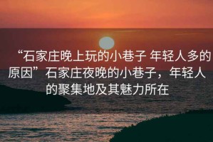 “石家莊晚上玩的小巷子 年輕人多的原因”石家莊夜晚的小巷子，年輕人的聚集地及其魅力所在