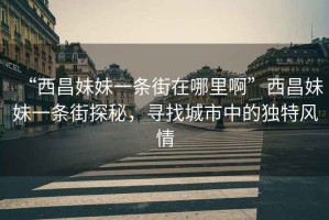 “西昌妹妹一條街在哪里啊”西昌妹妹一條街探秘，尋找城市中的獨(dú)特風(fēng)情
