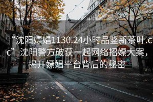 “沈陽嫖娼1130.24小時品鑒新茶葉.cc”沈陽警方破獲一起網絡招嫖大案，揭開嫖娼平臺背后的秘密