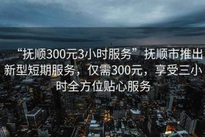 “撫順300元3小時服務”撫順市推出新型短期服務，僅需300元，享受三小時全方位貼心服務
