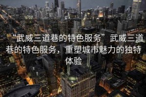 “武威三道巷的特色服務”武威三道巷的特色服務，重塑城市魅力的獨特體驗