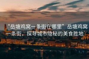“岳塘雞窩一條街在哪里”岳塘雞窩一條街，探尋城市隱秘的美食勝地