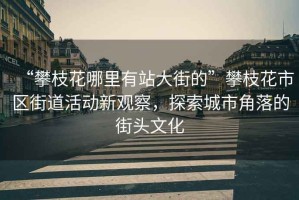 “攀枝花哪里有站大街的”攀枝花市區(qū)街道活動(dòng)新觀察，探索城市角落的街頭文化