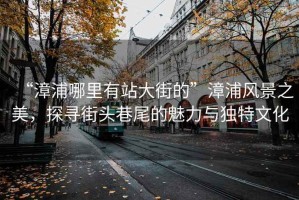 “漳浦哪里有站大街的”漳浦風(fēng)景之美，探尋街頭巷尾的魅力與獨(dú)特文化
