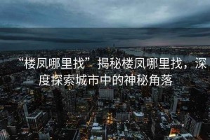 “樓鳳哪里找”揭秘樓鳳哪里找，深度探索城市中的神秘角落