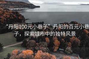 “丹陽100元小巷子”丹陽的百元小巷子，探索城市中的獨特風(fēng)景