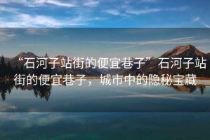 “石河子站街的便宜巷子”石河子站街的便宜巷子，城市中的隱秘寶藏