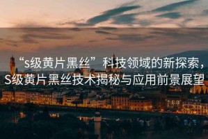 “s級(jí)黃片黑絲”科技領(lǐng)域的新探索，S級(jí)黃片黑絲技術(shù)揭秘與應(yīng)用前景展望