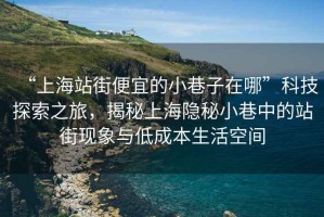 “上海站街便宜的小巷子在哪”科技探索之旅，揭秘上海隱秘小巷中的站街現(xiàn)象與低成本生活空間