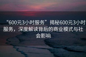 “600元3小時服務(wù)”揭秘600元3小時服務(wù)，深度解讀背后的商業(yè)模式與社會影響
