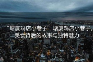 “塘廈雞店小巷子”塘廈雞店小巷子，美食背后的故事與獨特魅力