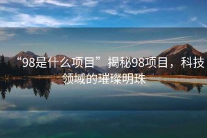 “98是什么項目”揭秘98項目，科技領域的璀璨明珠