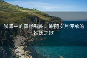 晨曦中的黃楊鈿甜，跟隨歲月傳承的姓氏之歌