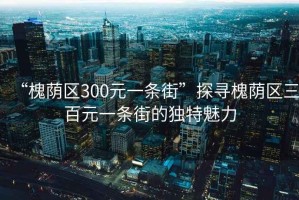 “槐蔭區(qū)300元一條街”探尋槐蔭區(qū)三百元一條街的獨特魅力