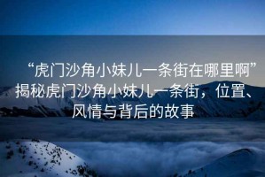 “虎門沙角小妹兒一條街在哪里啊”揭秘虎門沙角小妹兒一條街，位置、風(fēng)情與背后的故事