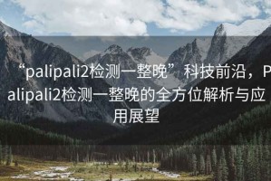 “palipali2檢測(cè)一整晚”科技前沿，Palipali2檢測(cè)一整晚的全方位解析與應(yīng)用展望