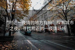 “附近一夜情的地方有嗎”探索城市之夜，尋找附近的一夜情場(chǎng)所