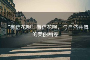 “有信花唄”有信花唄，與自然共舞的美麗畫卷