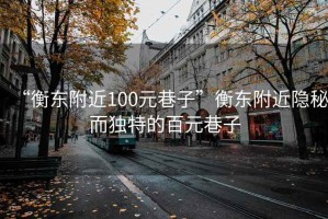 “衡東附近100元巷子”衡東附近隱秘而獨(dú)特的百元巷子
