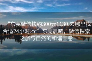 “東莞微信快約300元1130.去哪里找合適24小時.cc”東莞晨曦，微信探索之旅與自然的和諧畫卷