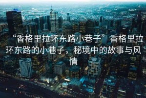 “香格里拉環(huán)東路小巷子”香格里拉環(huán)東路的小巷子，秘境中的故事與風(fēng)情