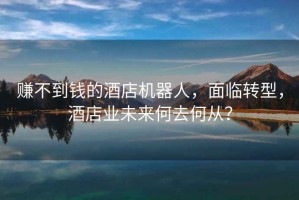 賺不到錢的酒店機器人，面臨轉(zhuǎn)型，酒店業(yè)未來何去何從？
