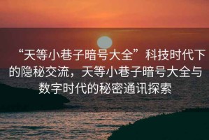 “天等小巷子暗號(hào)大全”科技時(shí)代下的隱秘交流，天等小巷子暗號(hào)大全與數(shù)字時(shí)代的秘密通訊探索
