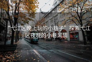 “弋江區(qū)晚上玩的小巷子”探索弋江區(qū)夜晚的小巷風(fēng)情