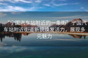 “寧國汽車站附近的一條街”寧國汽車站附近街道新貌煥發(fā)活力，展現(xiàn)多元魅力